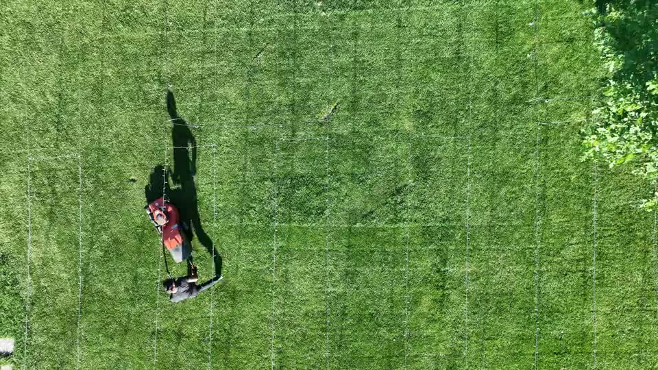 Overhead stock view of a freshly mown lawn